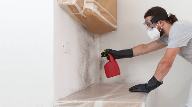 Professional Mold Cleanup technician working in Bayport, NY